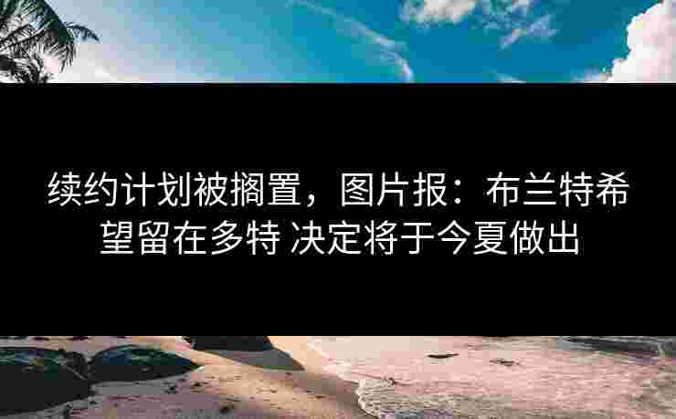 续约计划被搁置，图片报：布兰特希望留在多特 决定将于今夏做出